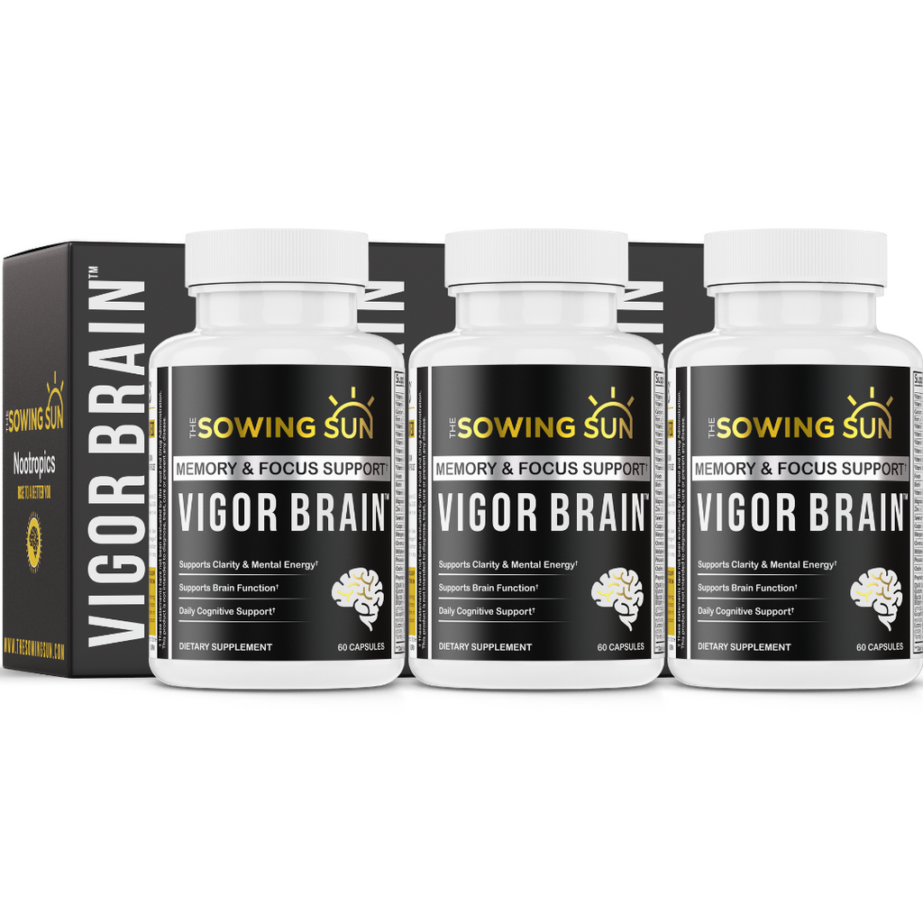 Vigor Brain - 3 Pack