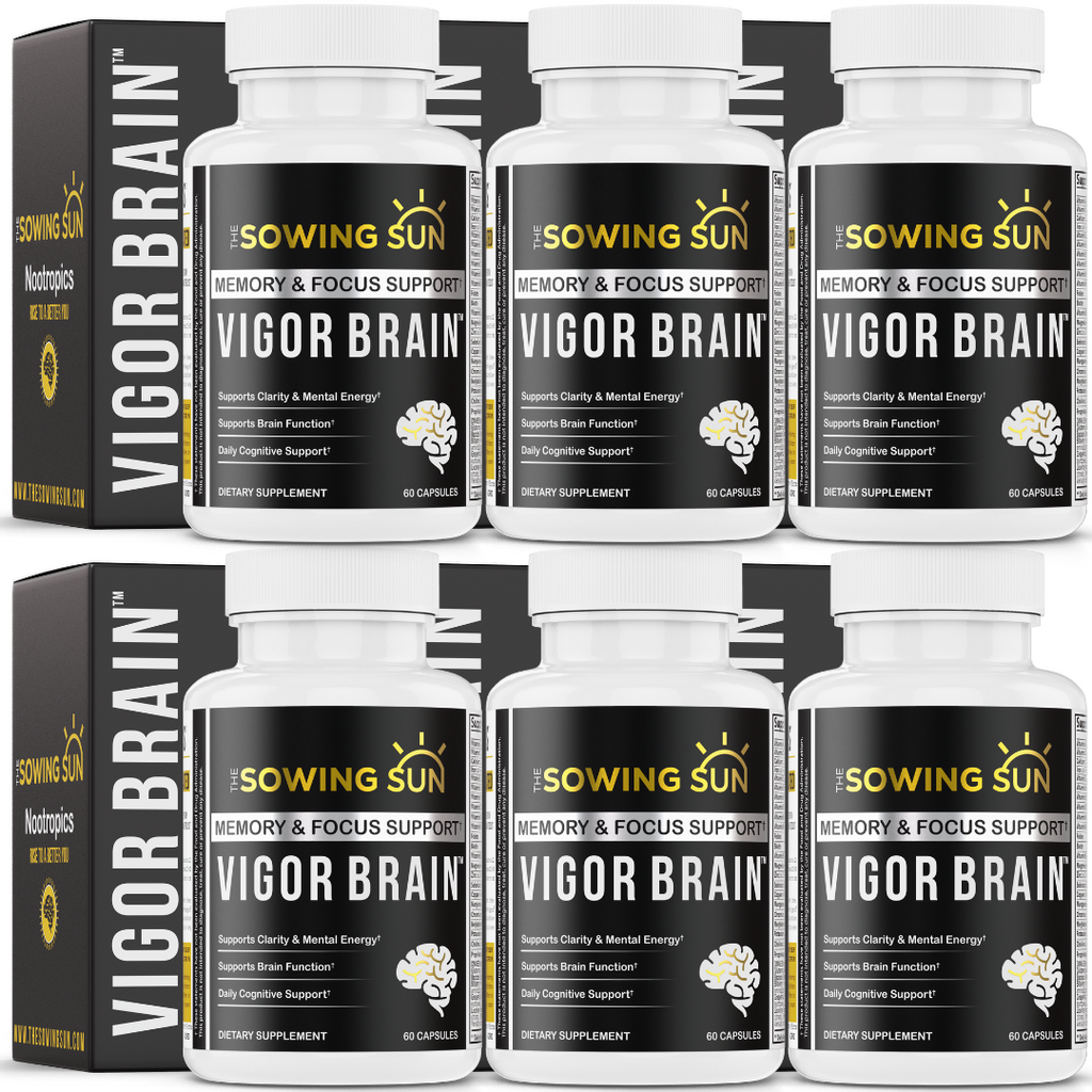 Vigor Brain - 6 Pack