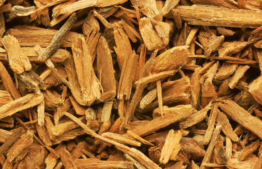 Yohimbe bark (Pausinystalia johimbe)